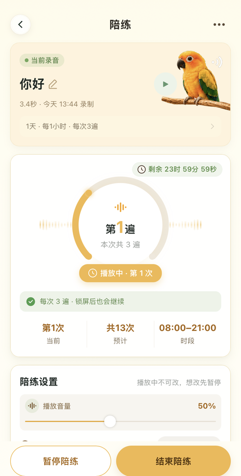 鹦语伴陪伴进行界面